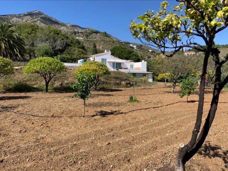 Casa 2Mariposas Villa มิฮาส ภายนอก รูปภาพ